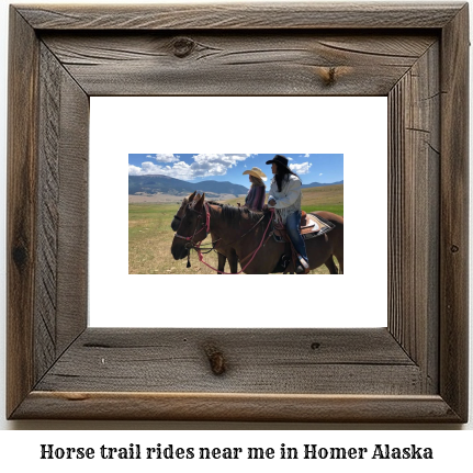 horse trail rides near me in Homer, Alaska